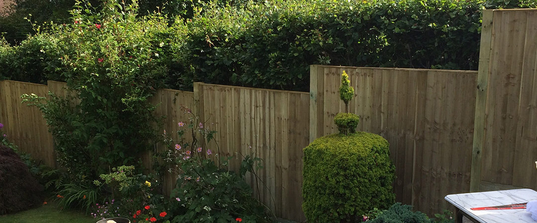 5 FENCING CONSIDERATIONS BEFORE HAVING FENCING INSTALLED